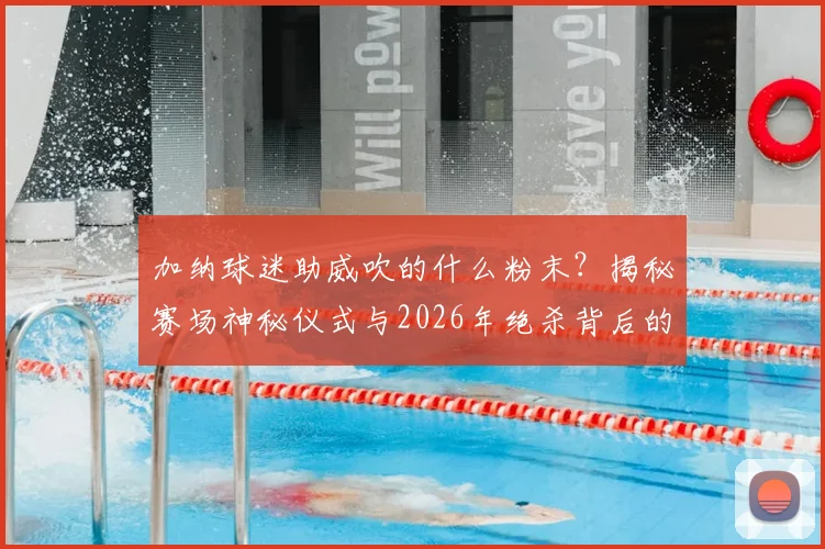 加纳球迷助威吹的什么粉末？揭秘赛场神秘仪式与2026年绝杀背后的故事