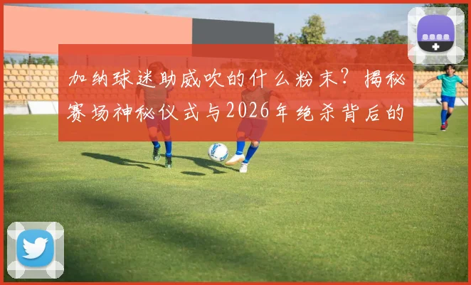 加纳球迷助威吹的什么粉末？揭秘赛场神秘仪式与2026年绝杀背后的故事
